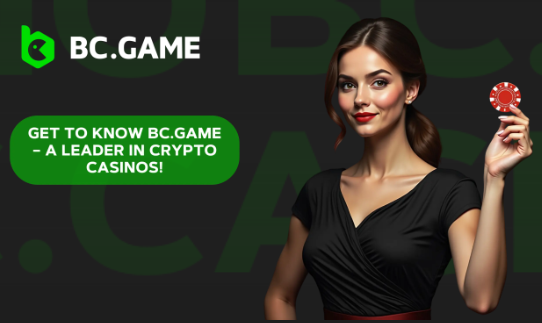 Bc.G A Comprehensive Guide to Blockchain Gaming